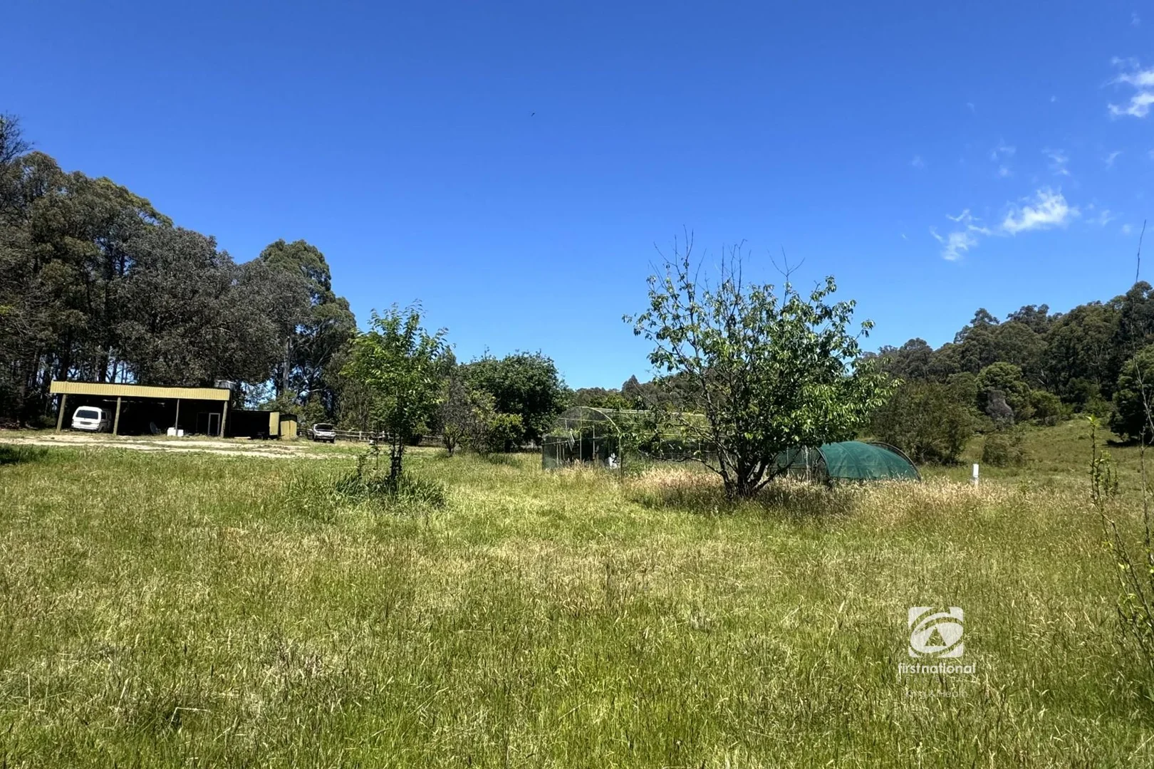 Additional image 8 of 139 Buchan South Road, Buchan South VIC 3885