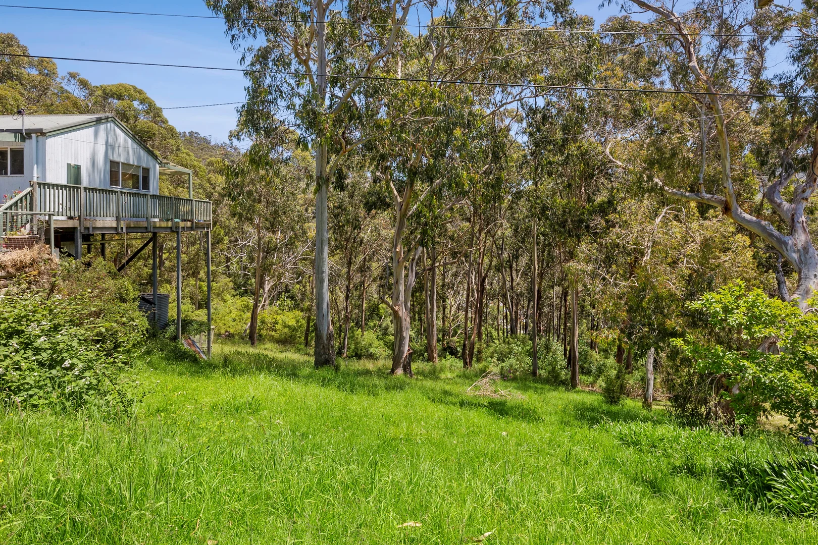 Additional image 6 of 19 McRae Road, Wye River VIC 3234