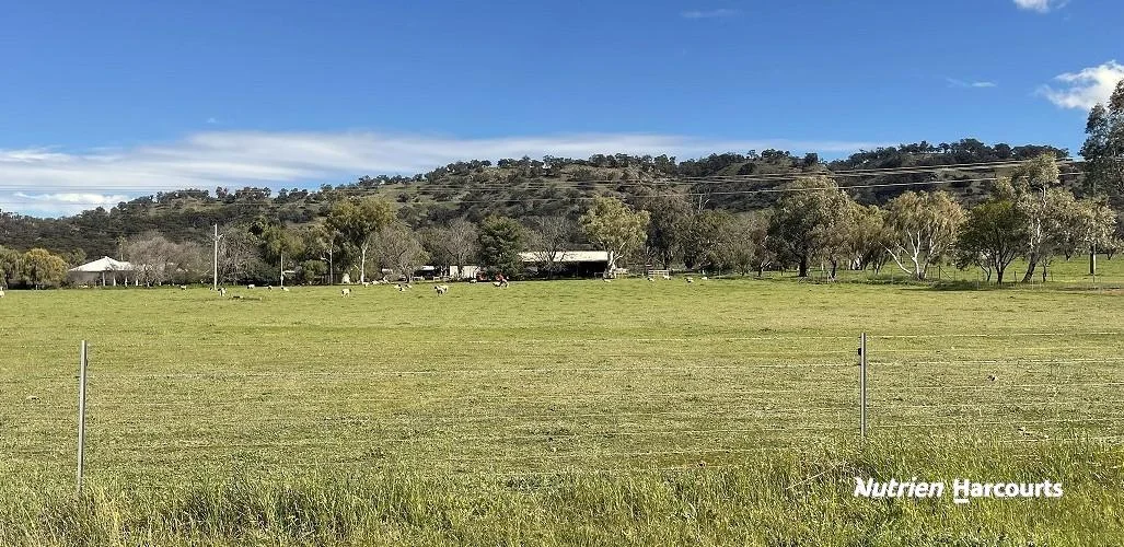 Additional image 11 of 967 Northam-Toodyay Road, Katrine WA 6401
