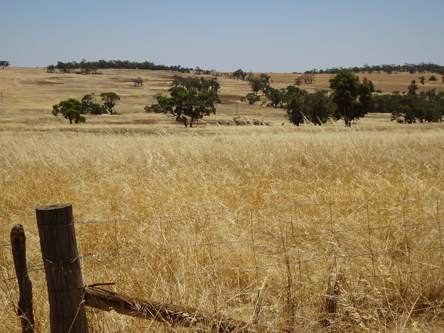 Additional image 20 of 160 Chittleborough Road, Brookton WA 6306