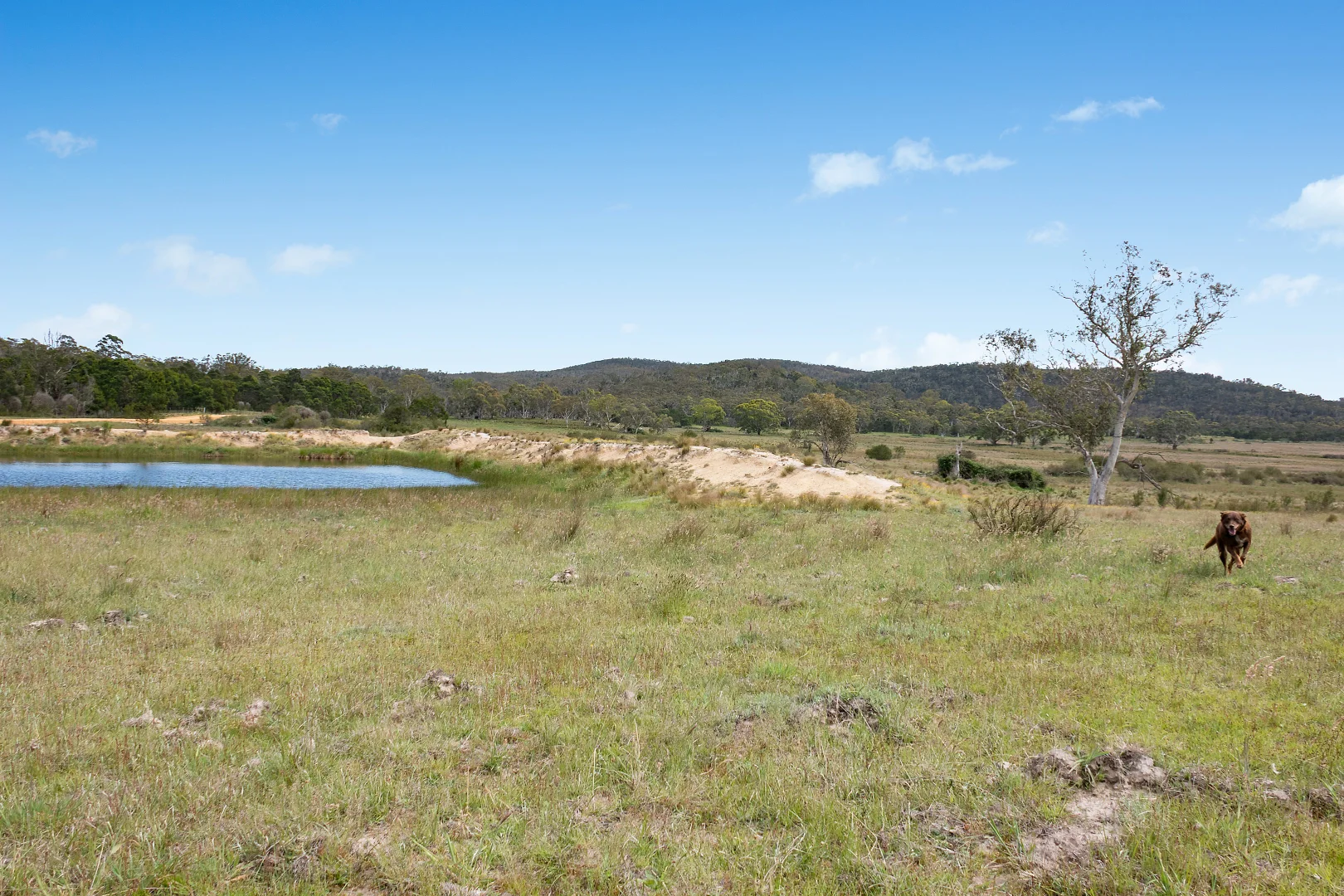 Additional image 6 of 14/371 Mayfield Road, Braidwood NSW 2622