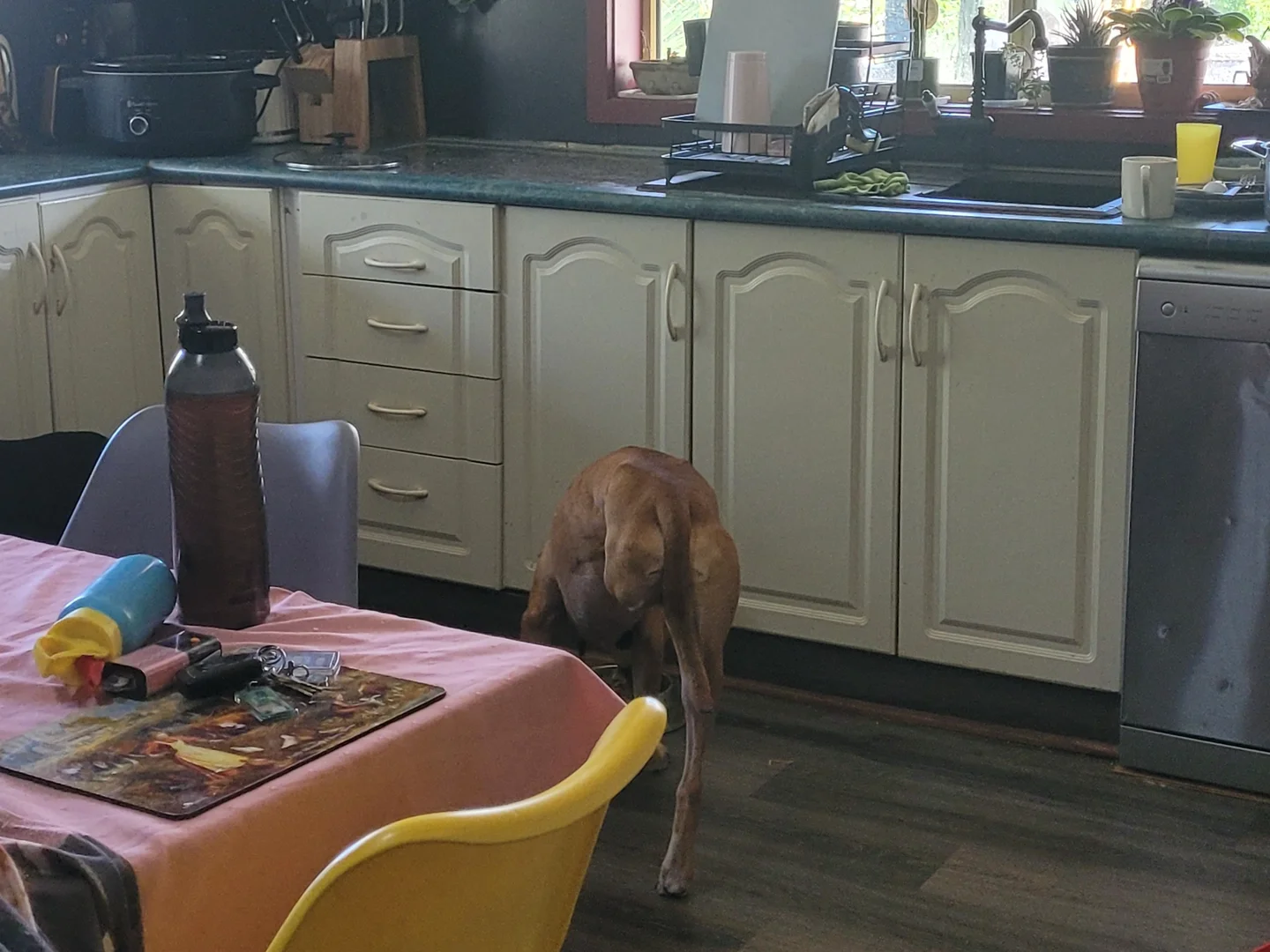 Additional image 7 of 1809 Bonang Road, Delegate River VIC 3888