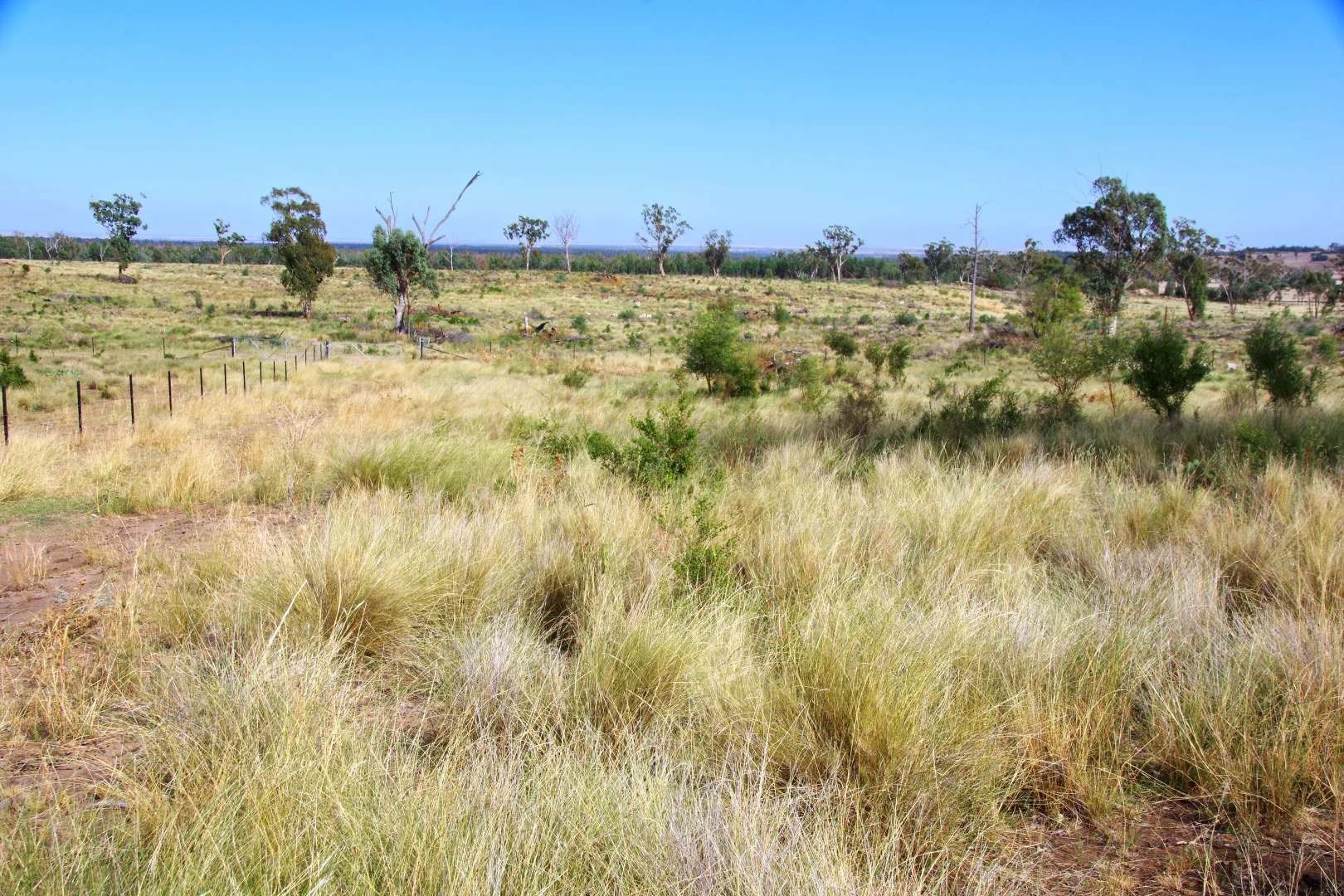 Additional image 42 of 2381. Killarney Gap Road, Narrabri NSW 2390