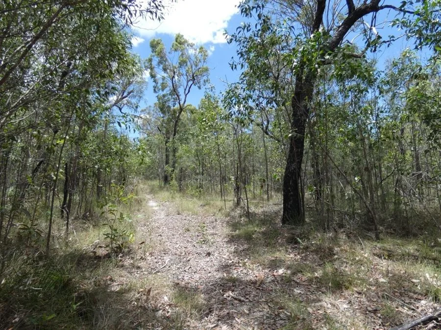 Additional image 4 of 668 Matchbox Road, Deepwater QLD 4674