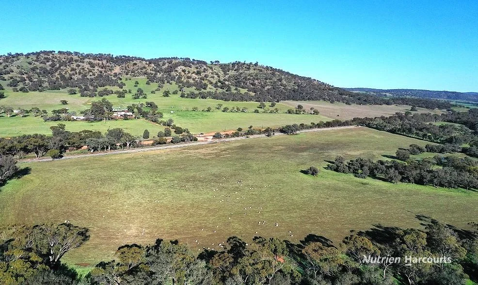 Additional image 44 of 967 Northam-Toodyay Road, Katrine WA 6401