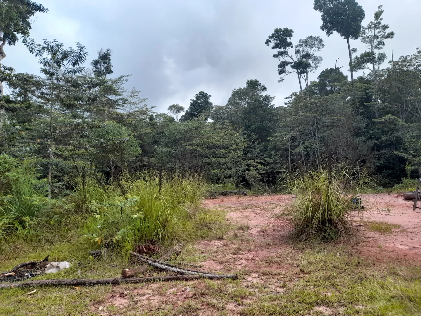 Additional image 8 of Lot 213 Kelly Road, Ellinjaa QLD 4886