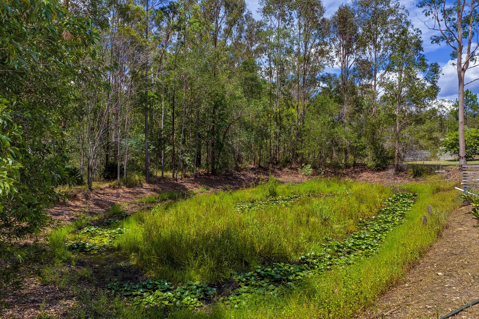 Additional image 30 of 39 Arborthirteen Road, Glenwood QLD 4570