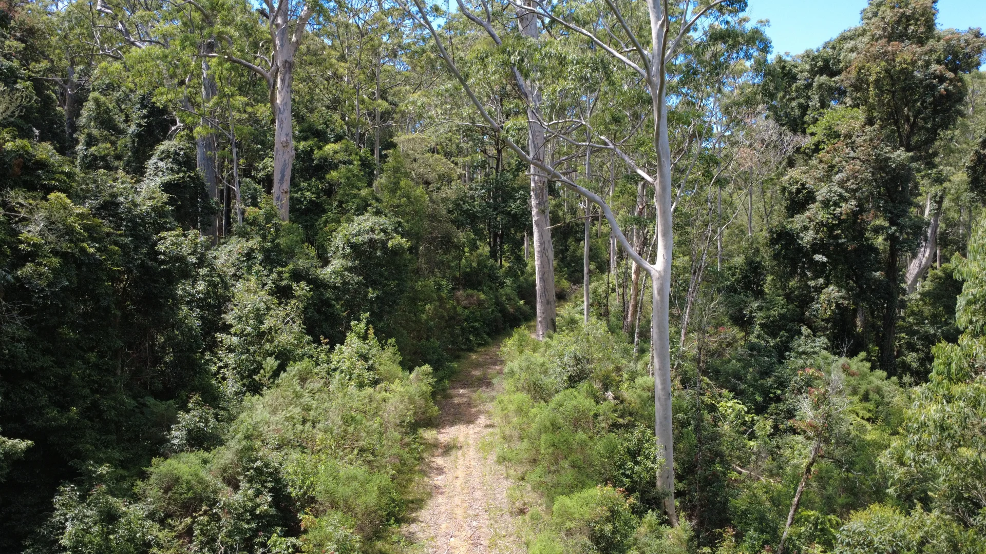 Additional image 10 of Baxters Ridge Road, Gloucester NSW 2422