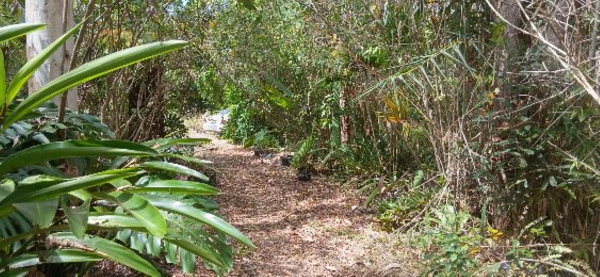 Additional image 9 of 1 Top End Mines Road, Torbanlea QLD 4662