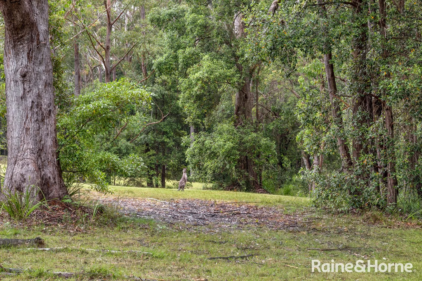 Additional image 10 of 49a Woollamia Road, Falls Creek NSW 2540