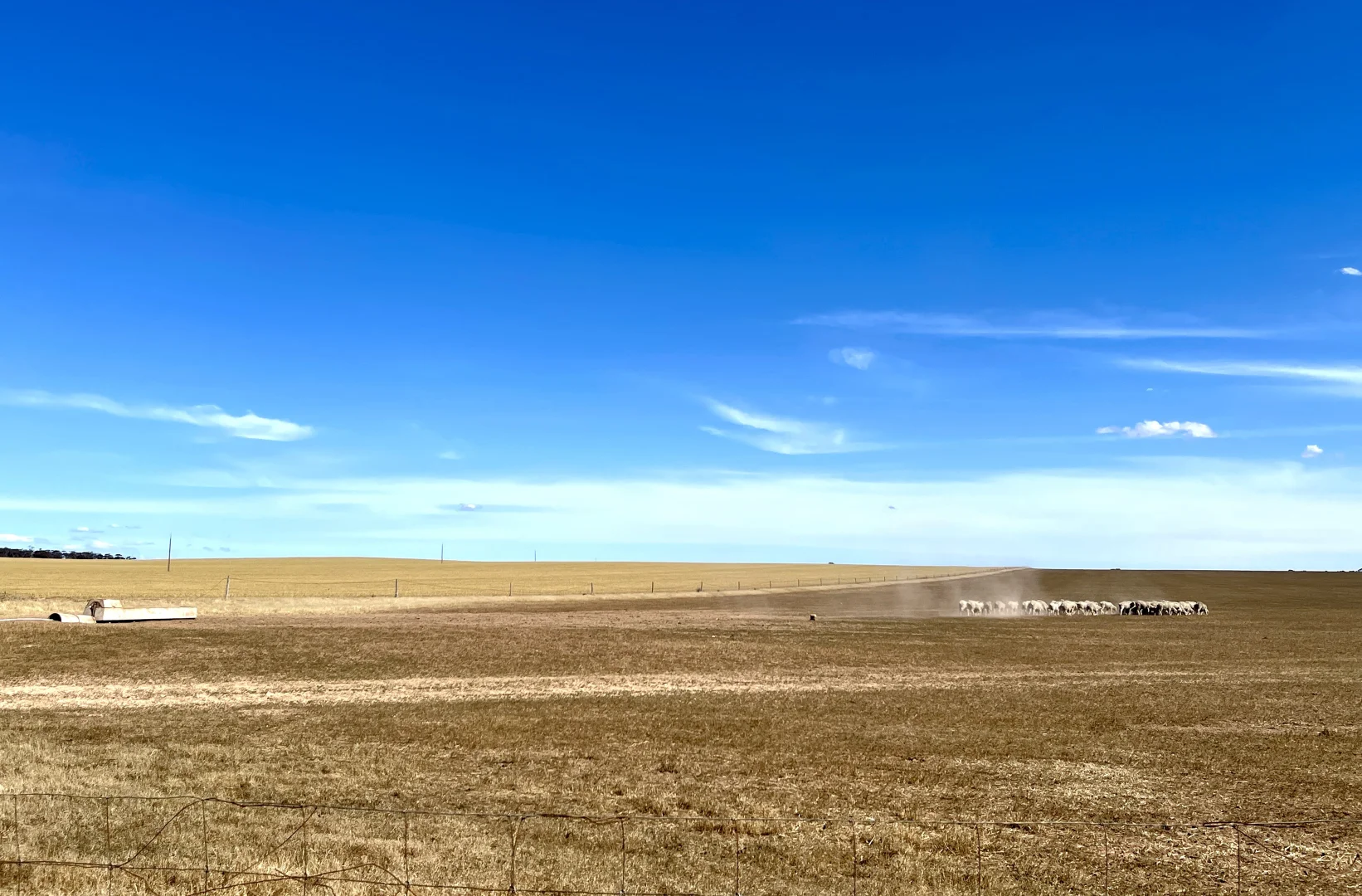 Additional image 6 of 860 Gerschwitz Road, Cungena SA 5660