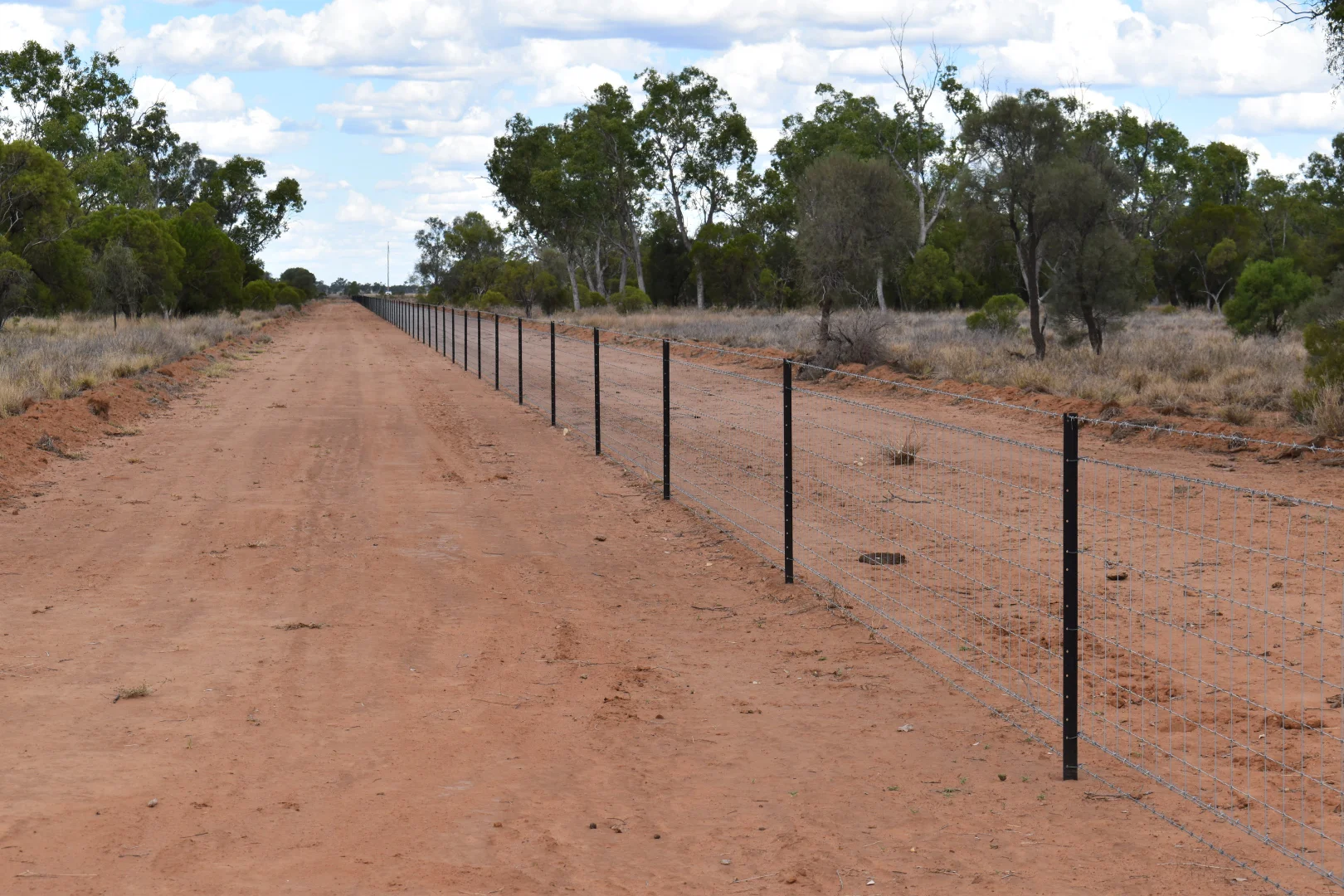 Additional image 9 of " Northam", Wyandra QLD 4489