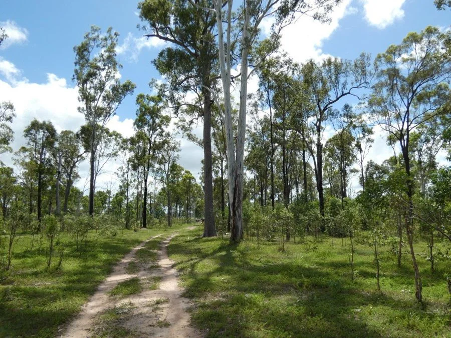 Additional image 3 of 277 Bushlands Road, Bororen QLD 4678