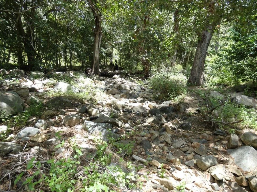 Additional image 23 of 277 Bushlands Road, Bororen QLD 4678