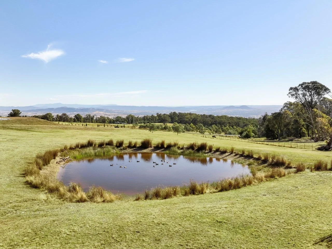 Additional image 3 of 75 Ambrose Drive, Tolmie VIC 3723