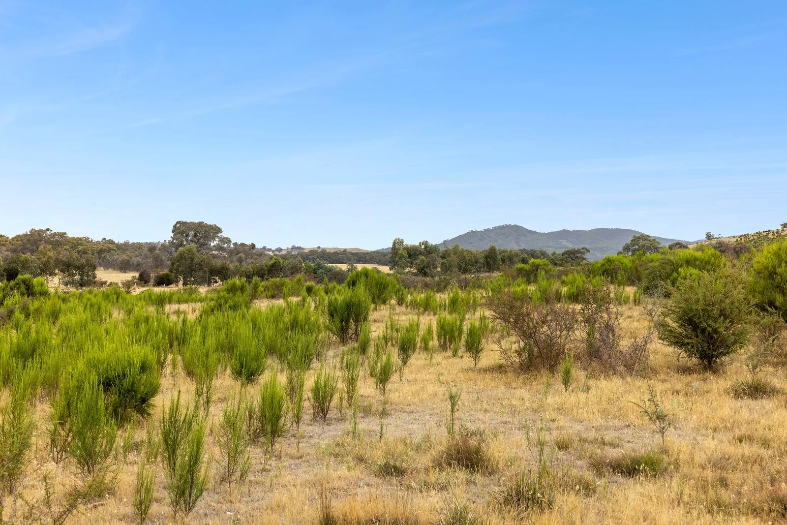 Additional image 8 of CA 29 Moonambel Back Road, Moonambel VIC 3478