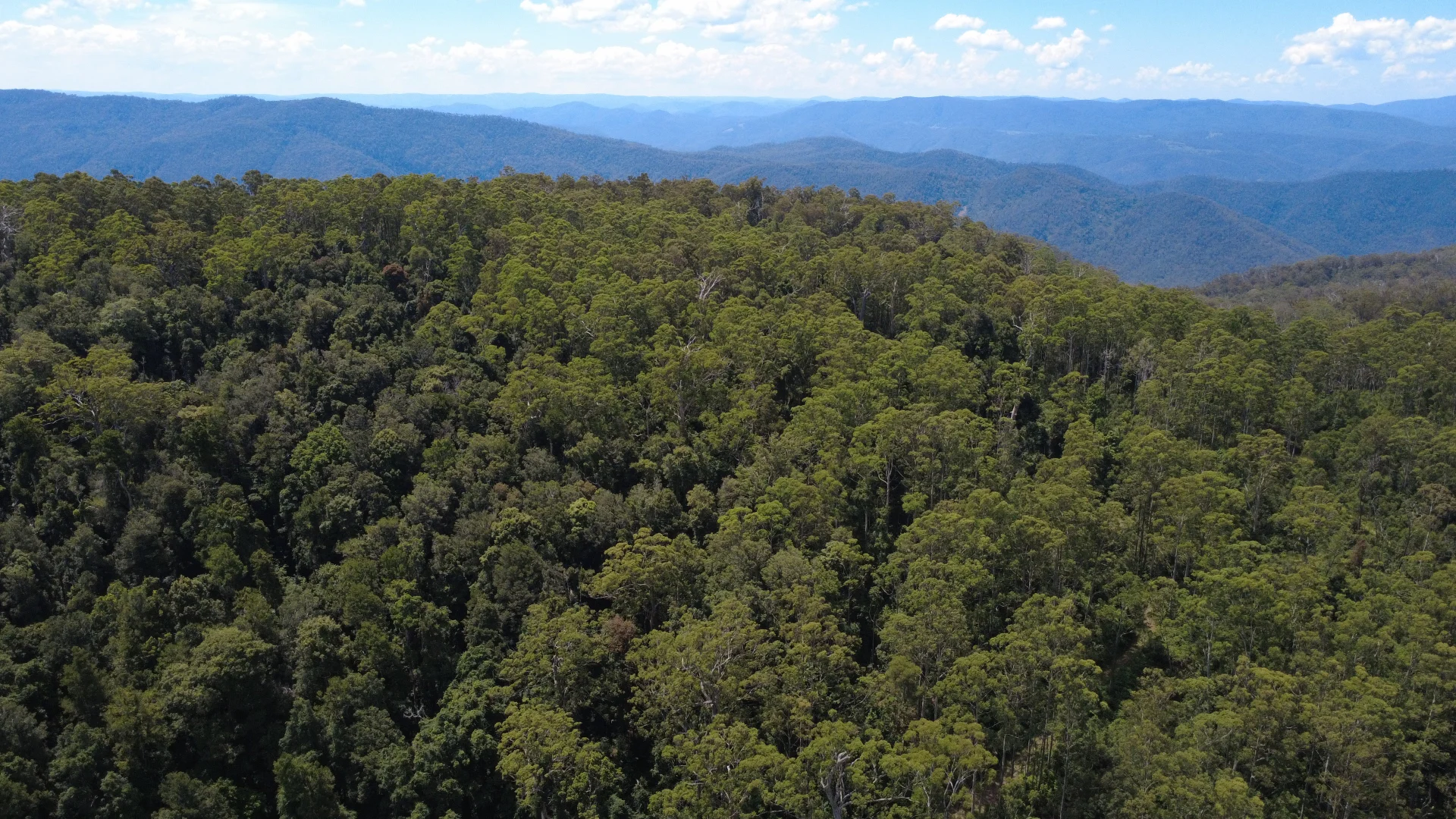 Additional image 24 of Baxters Ridge Road, Gloucester NSW 2422