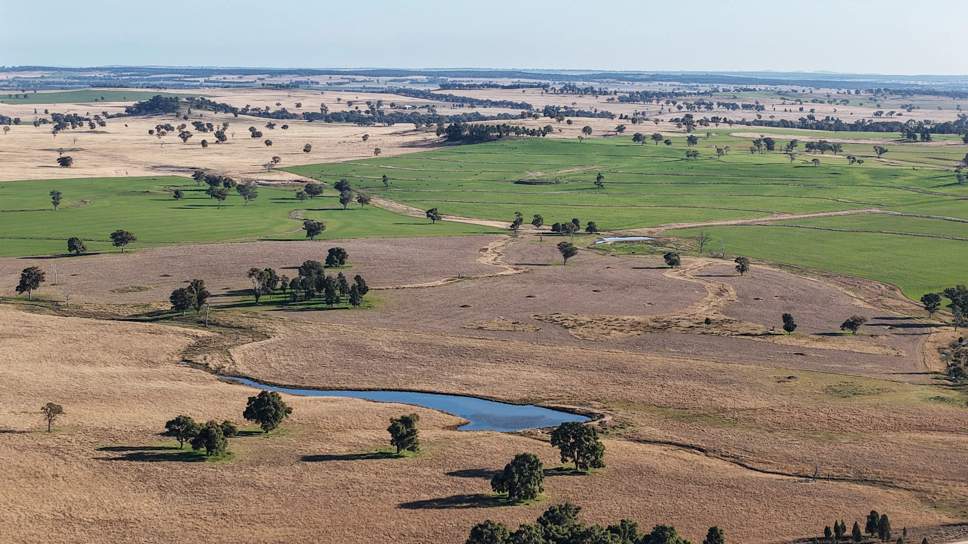 Additional image 11 of 38 Tallawonga Road, Elong Elong NSW 2831