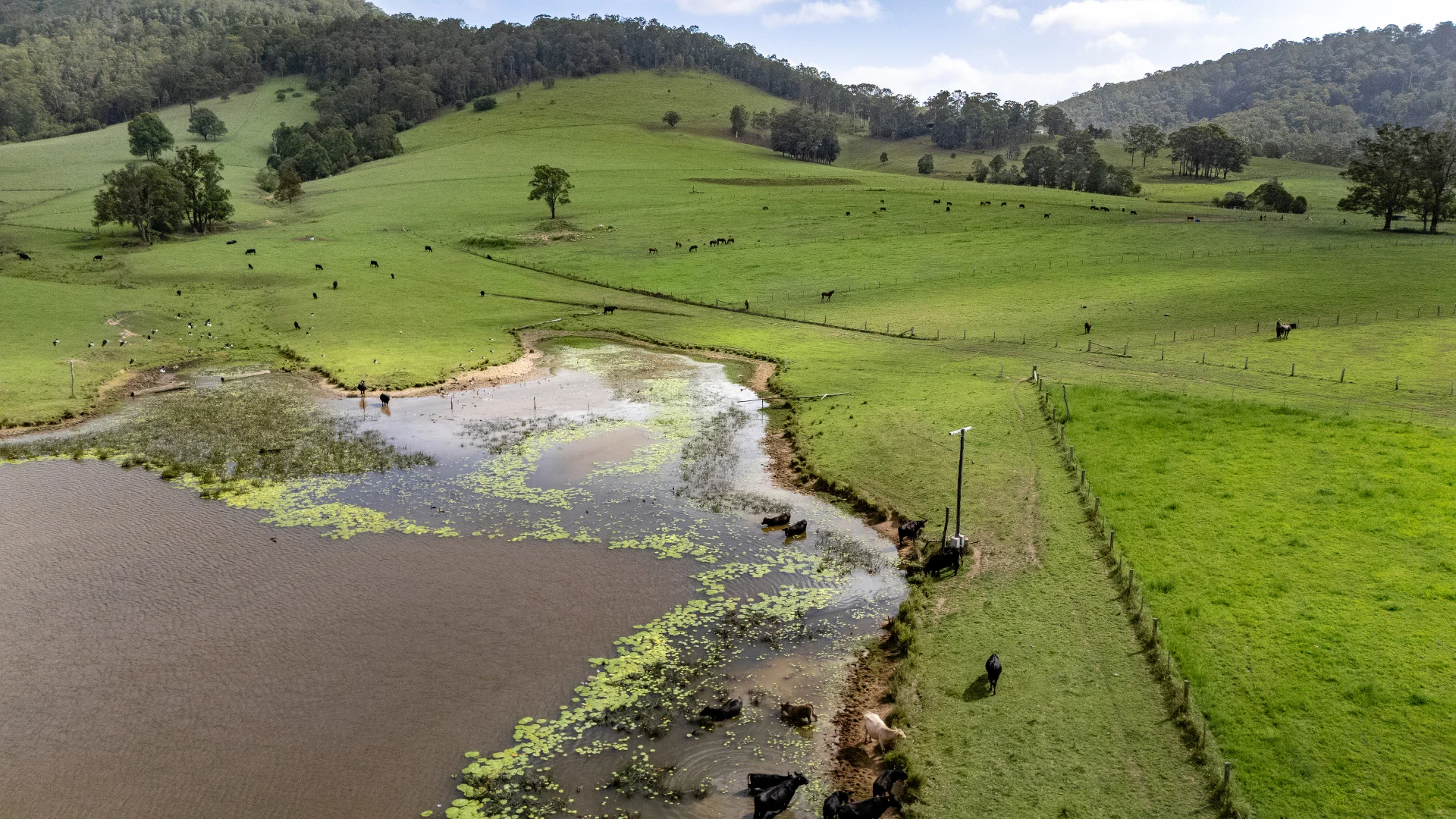 Additional image 27 of 529 Willina Road, Willina NSW 2423