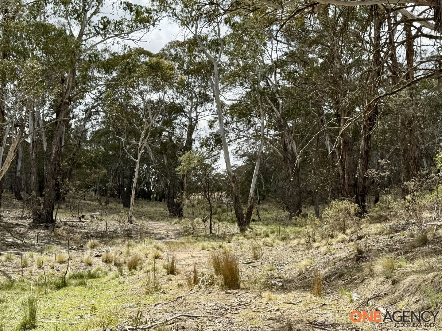 Additional image 14 of Lots 73 & 78 / 125 Fistys Lane, Jerangle NSW 2630
