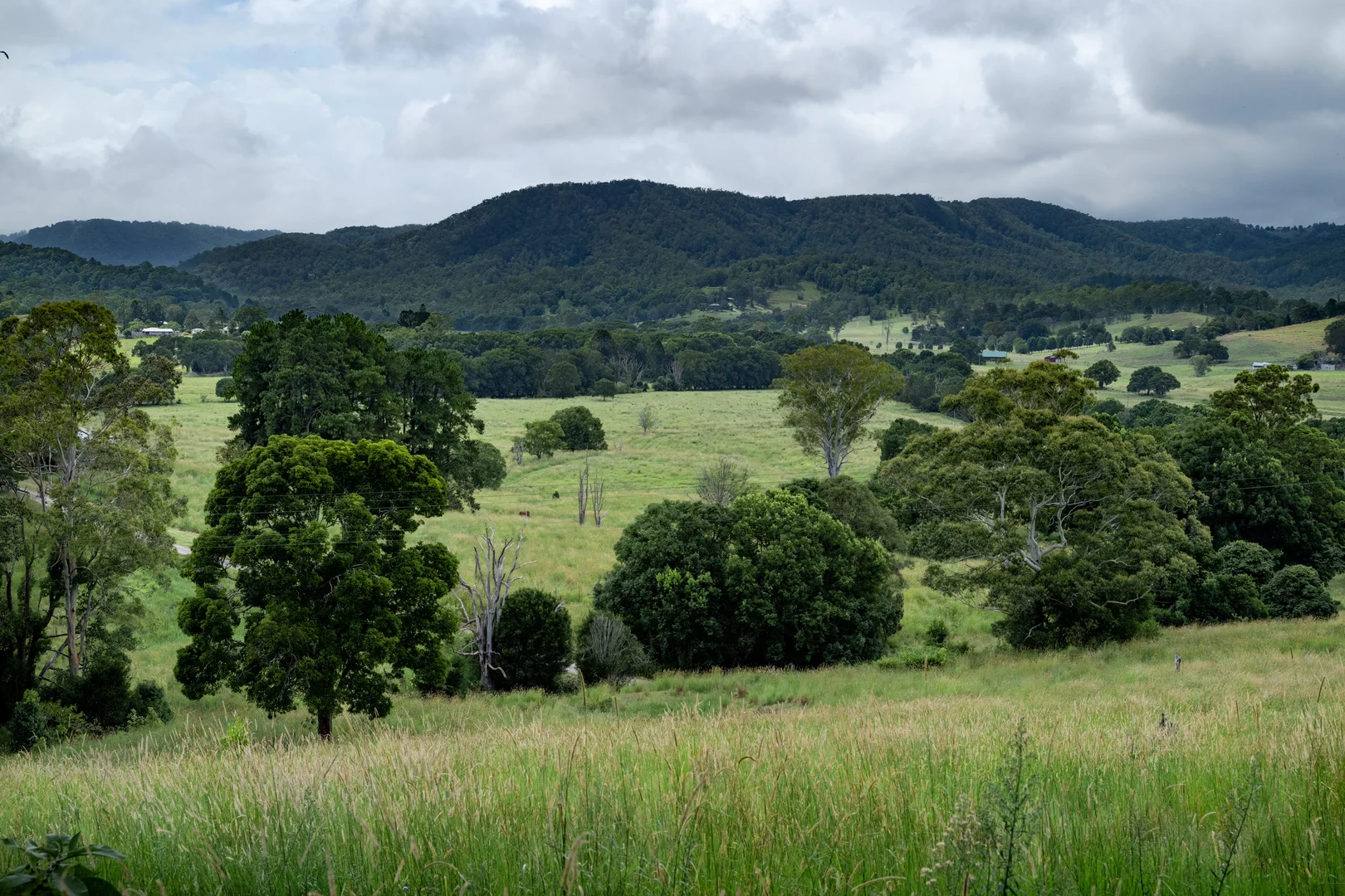 Additional image 7 of 43 Cutmore Road, Obi Obi QLD 4574