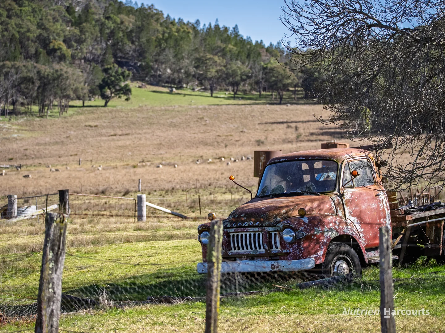 Additional image 9 of 206 - 208 Rocky Glen Road, Kingstown NSW 2358