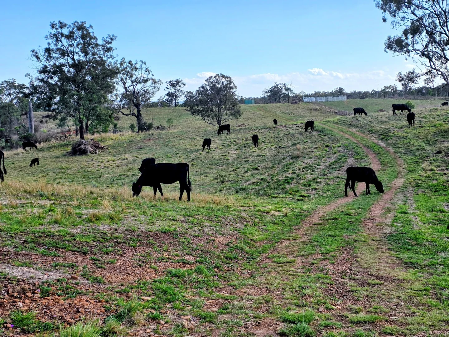 Additional image 4 of 448 Groomsville Road, Geham QLD 4352