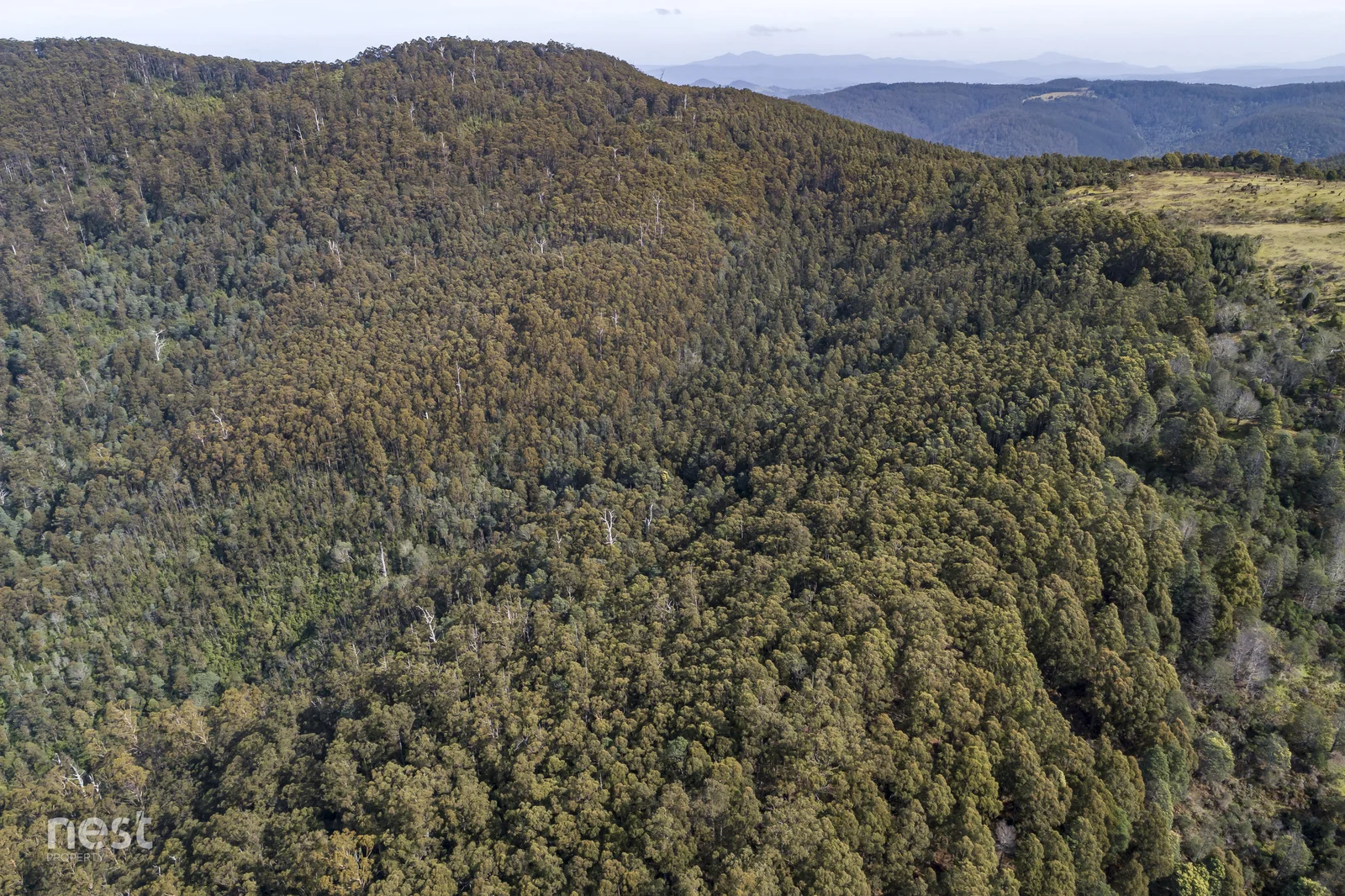 Additional image 34 of 405 Whittons Road, Kettering TAS 7155