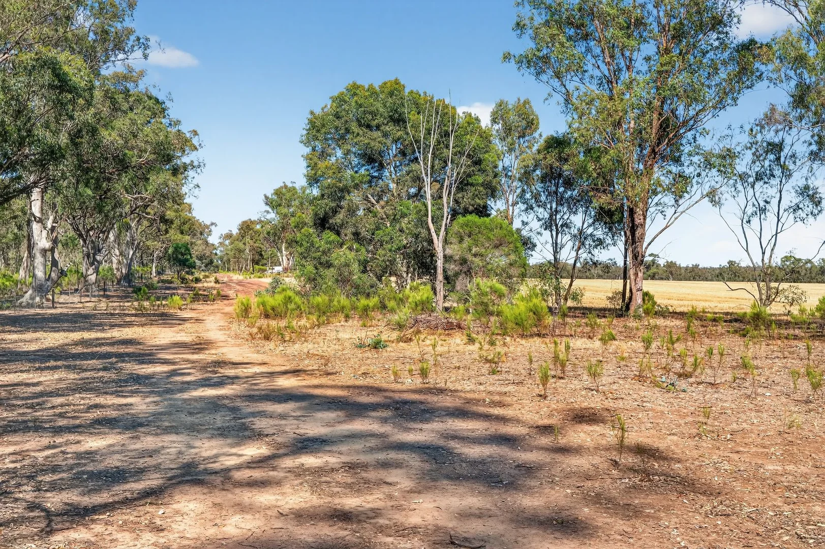 Additional image 10 of 99 Winzar Lane, Goornong VIC 3557
