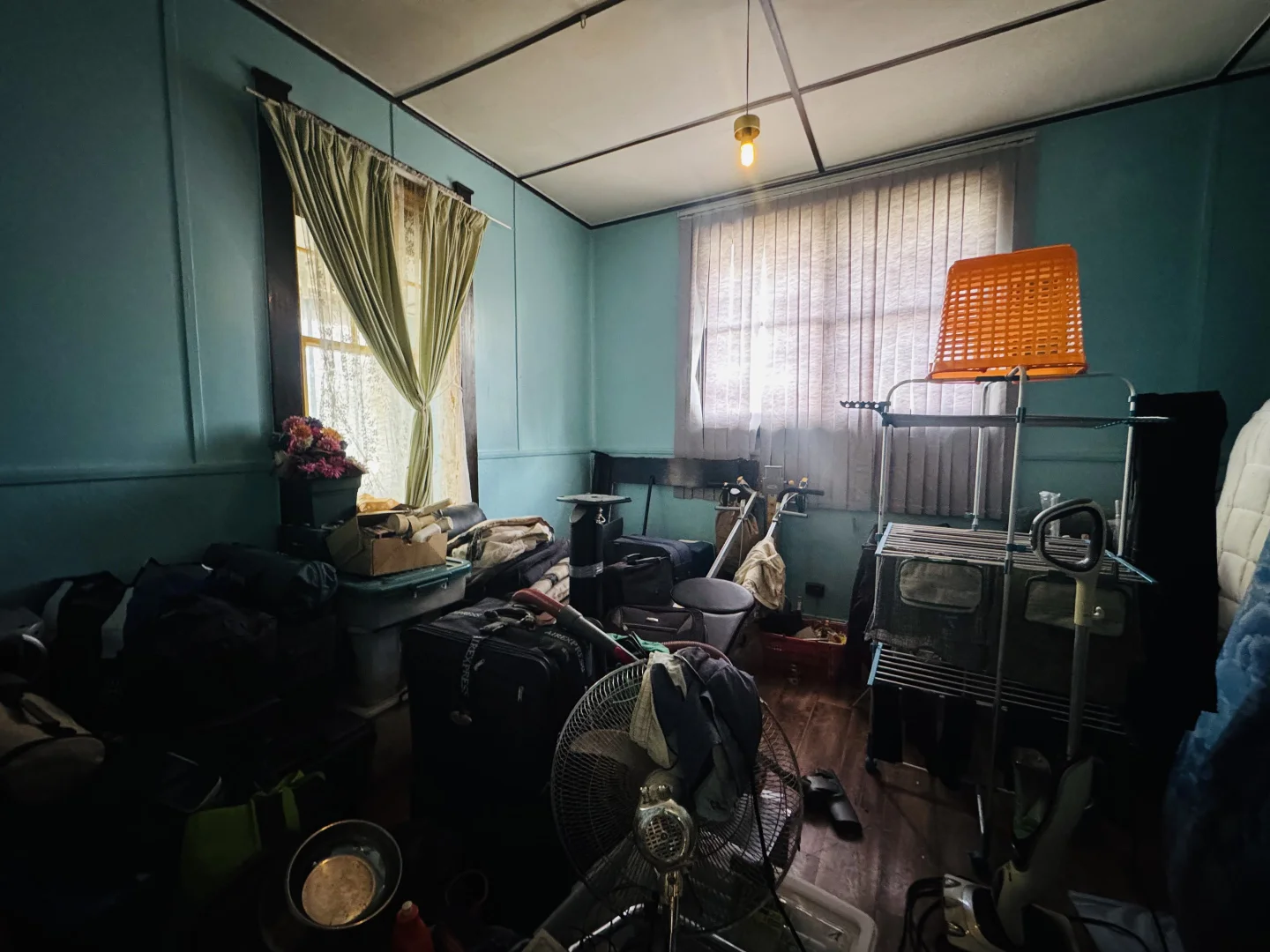 Additional image 9 of 1 Mount Black Road, Rosebery TAS 7470