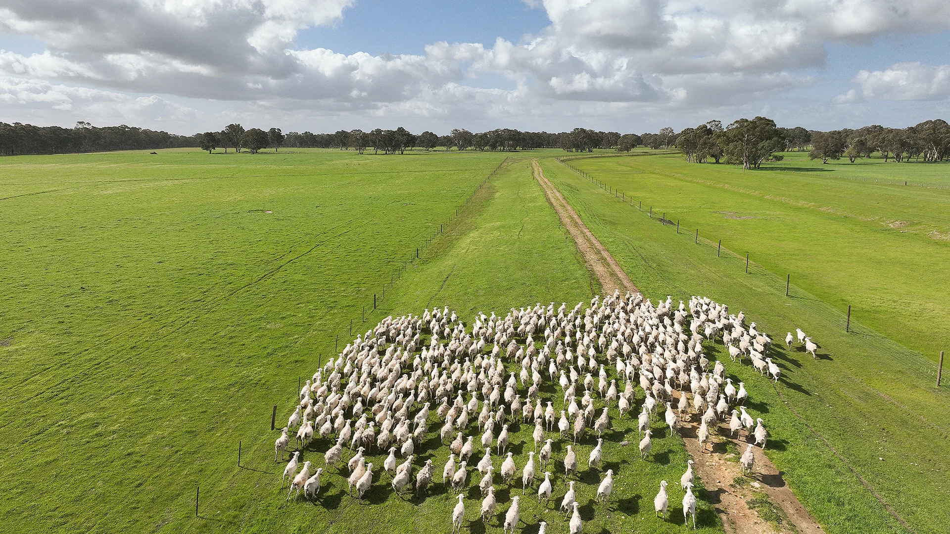 Additional image 9 of 546 Bool Lagoon West Road, Penola SA 5277