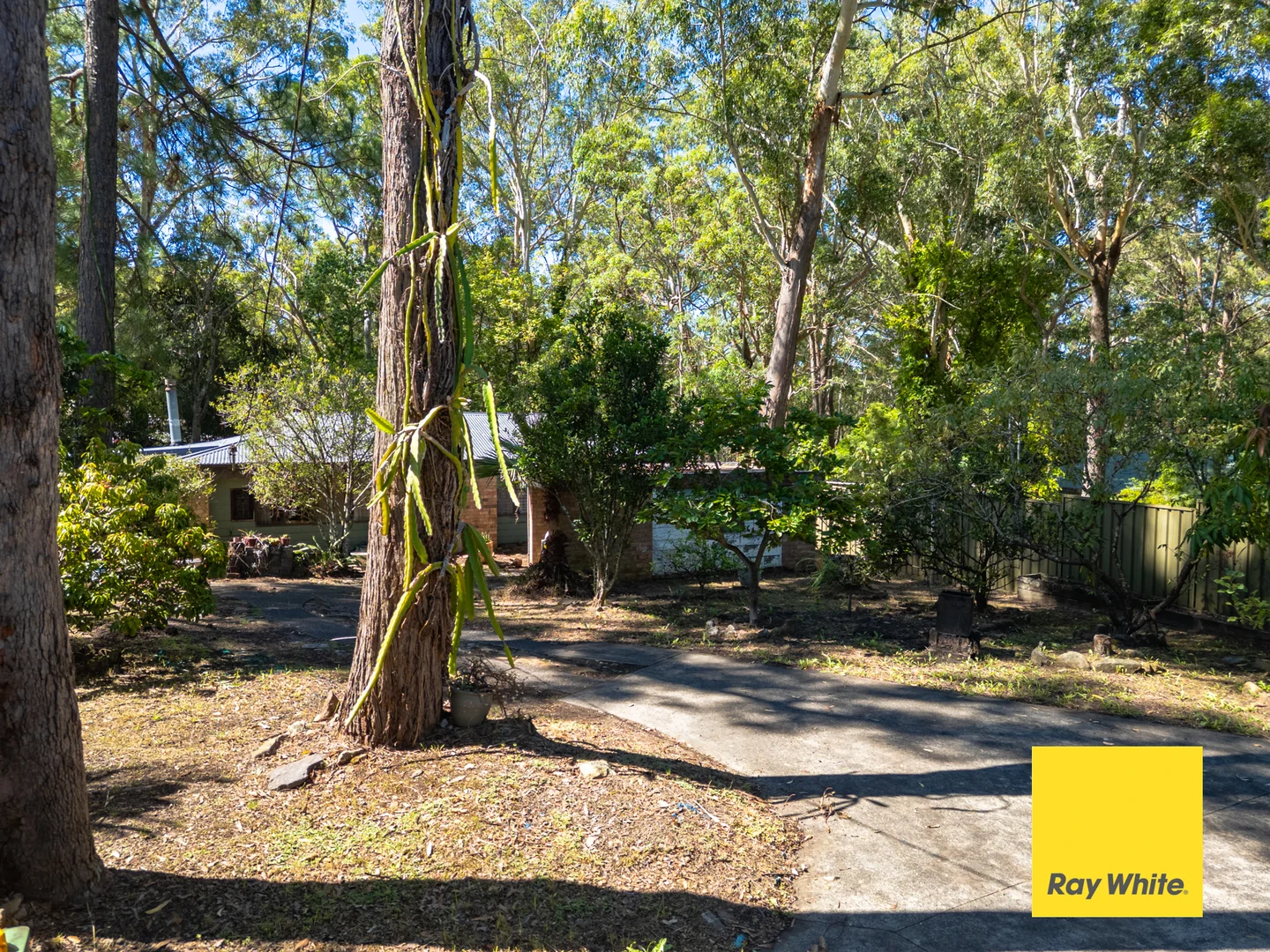Additional image 4 of 107 Avoca Drive, Green Point NSW 2251