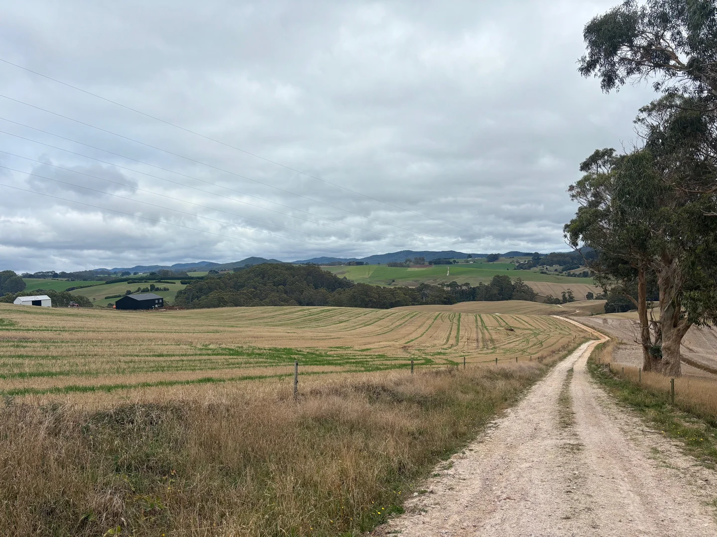 Additional image 15 of 86 Rothwells Road, Sisters Creek TAS 7325