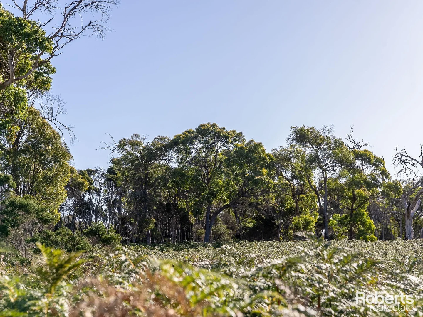 Additional image 11 of Fernlack Road, Greens Beach TAS 7270
