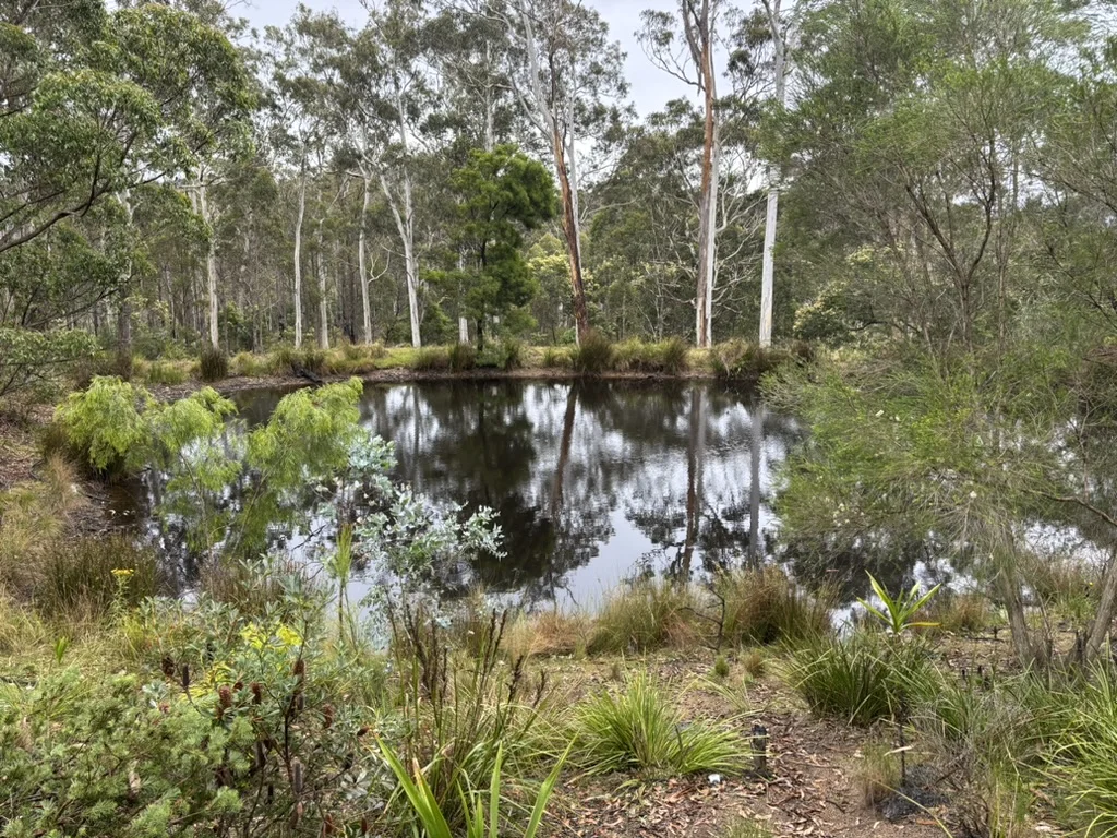 Additional image 13 of Devils Hole Road, Devils Hole NSW 2550