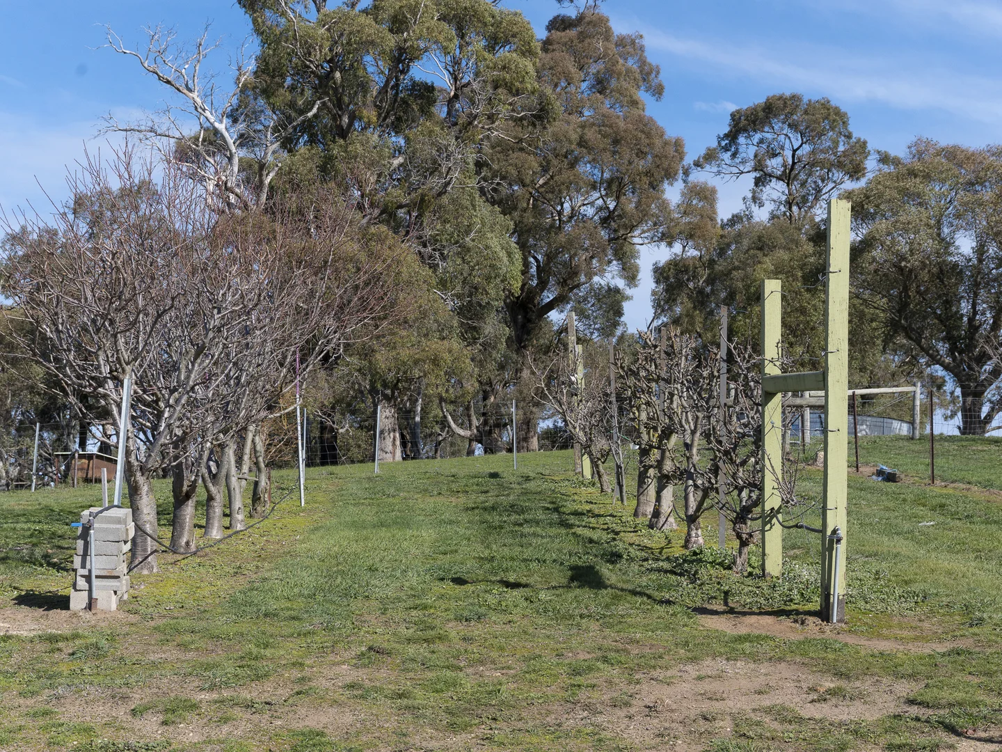 Additional image 30 of 180 Brigadoon Road, Highlands VIC 3660