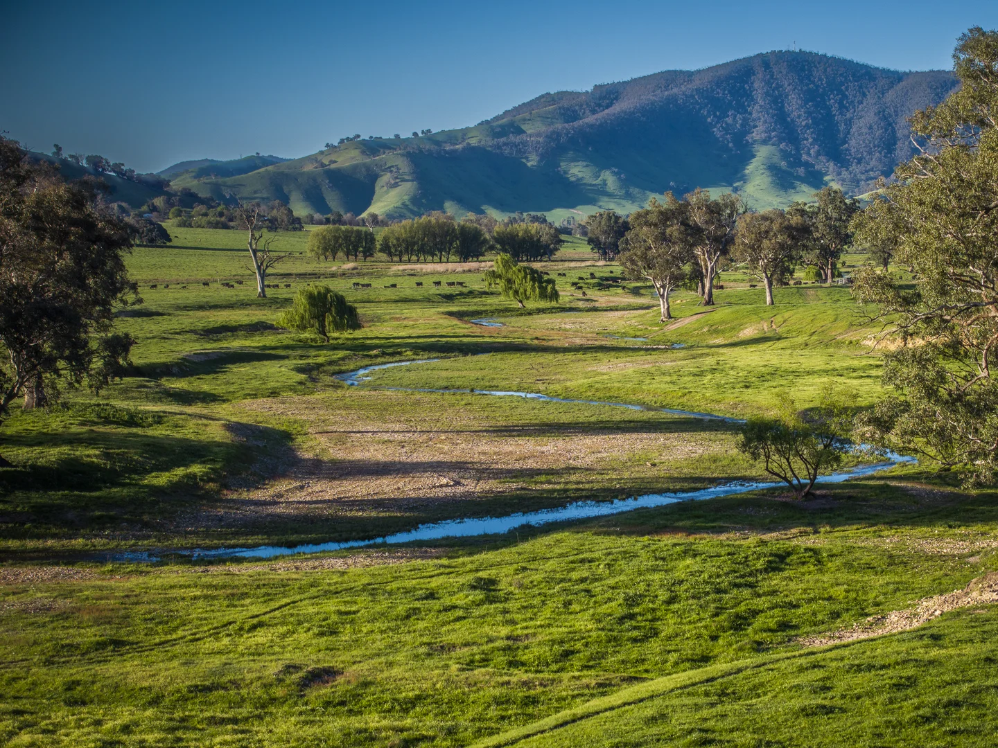 Additional image 19 of 3091 Shelley Road, Walwa VIC 3709