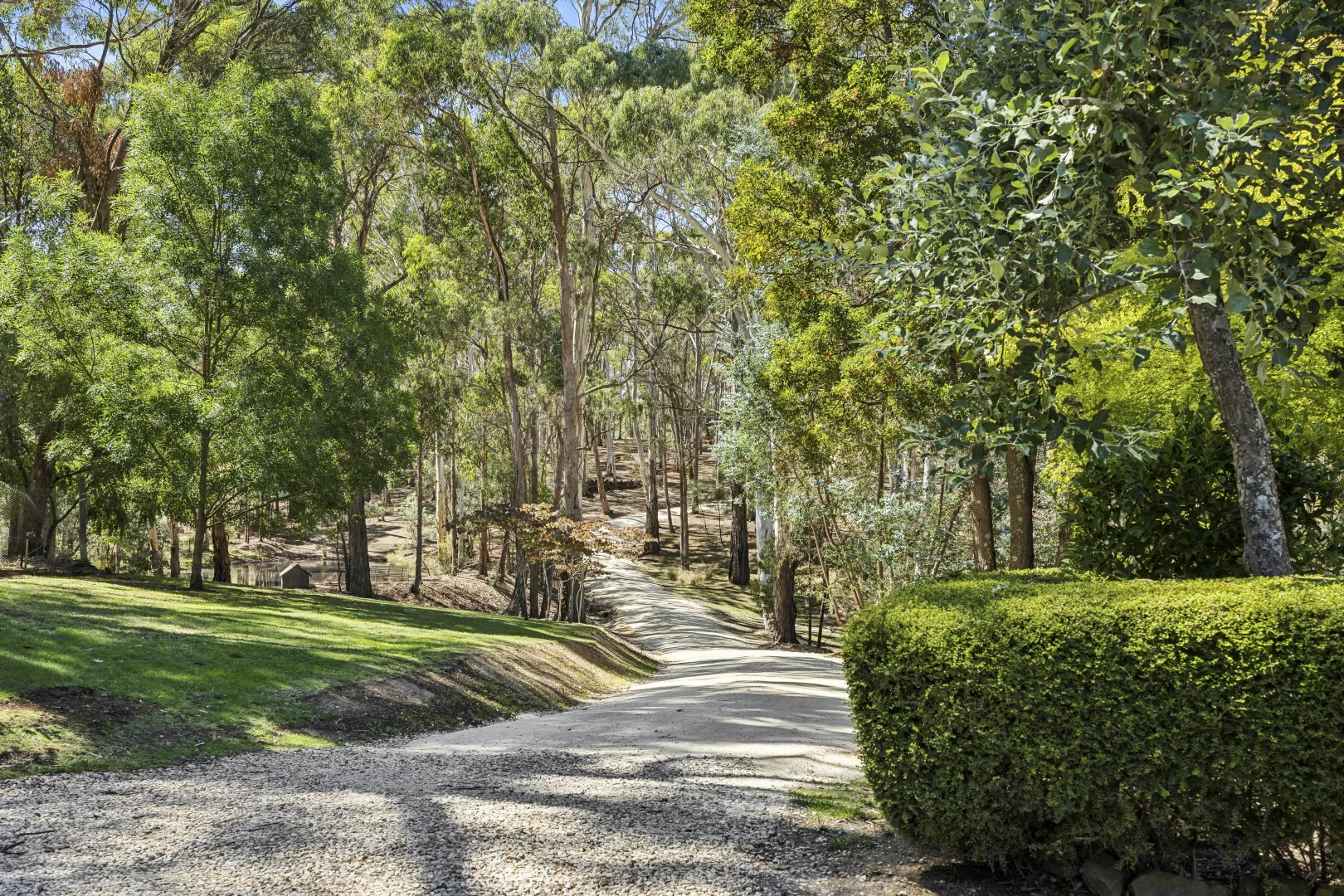 Additional image 19 of 76 Woolnoughs Road, Porcupine Ridge VIC 3461