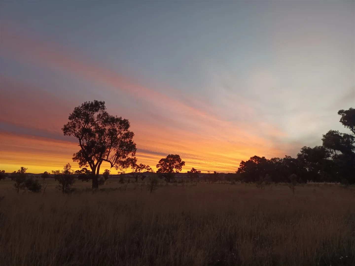 Additional image 4 of 14317 Golden Highway, Dunedoo NSW 2844