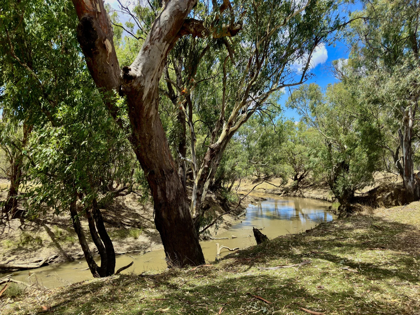 Additional image 53 of 506 North Forbes Rd, Condobolin NSW 2877