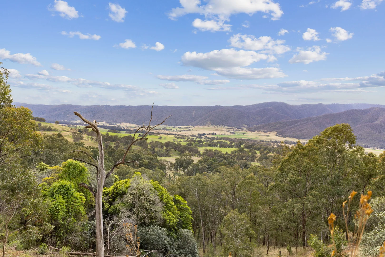 Additional image 32 of 322 Neringla Road, Braidwood NSW 2622