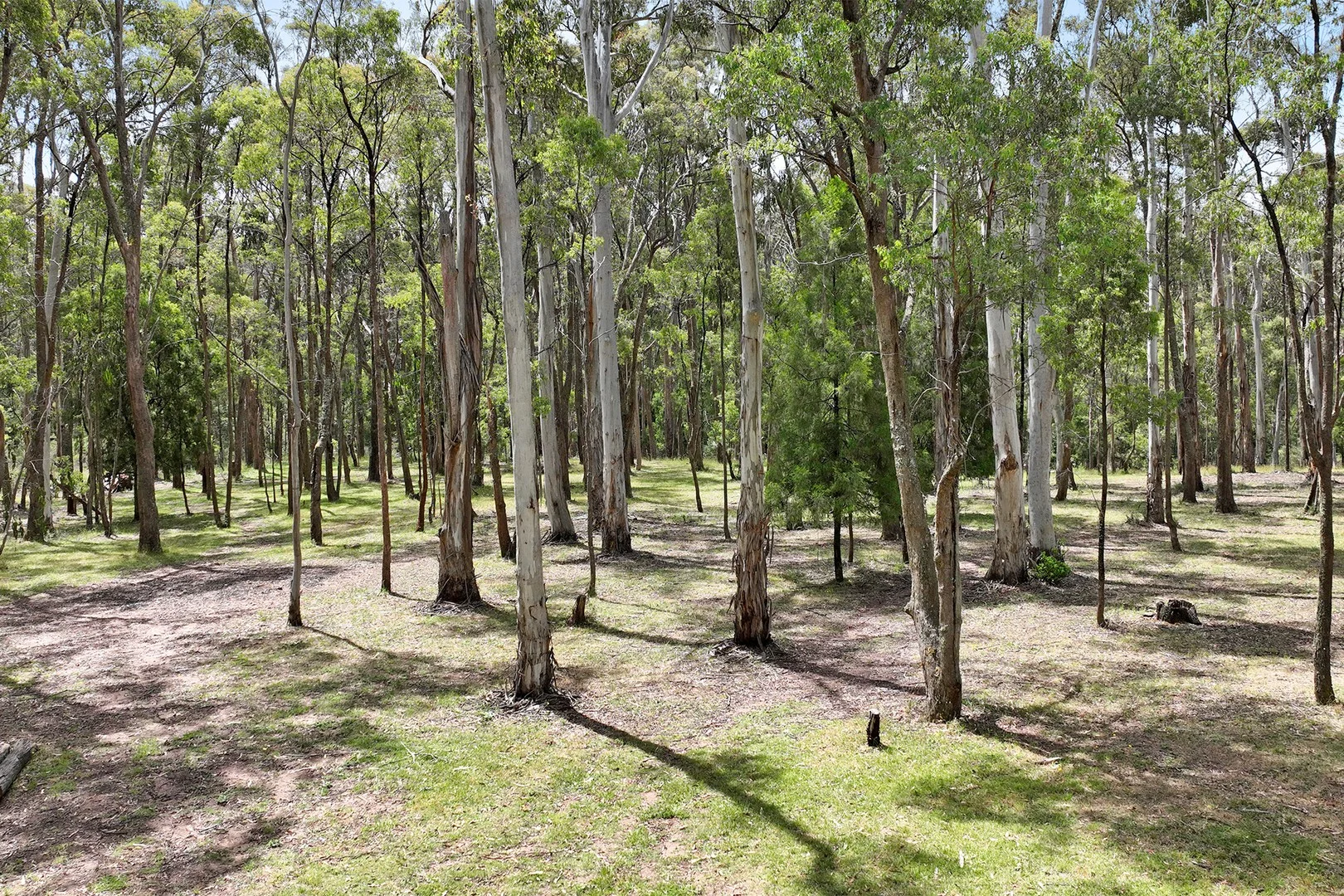 Additional image 5 of 245 Tolmie-Mahaikah Road, Tolmie VIC 3723