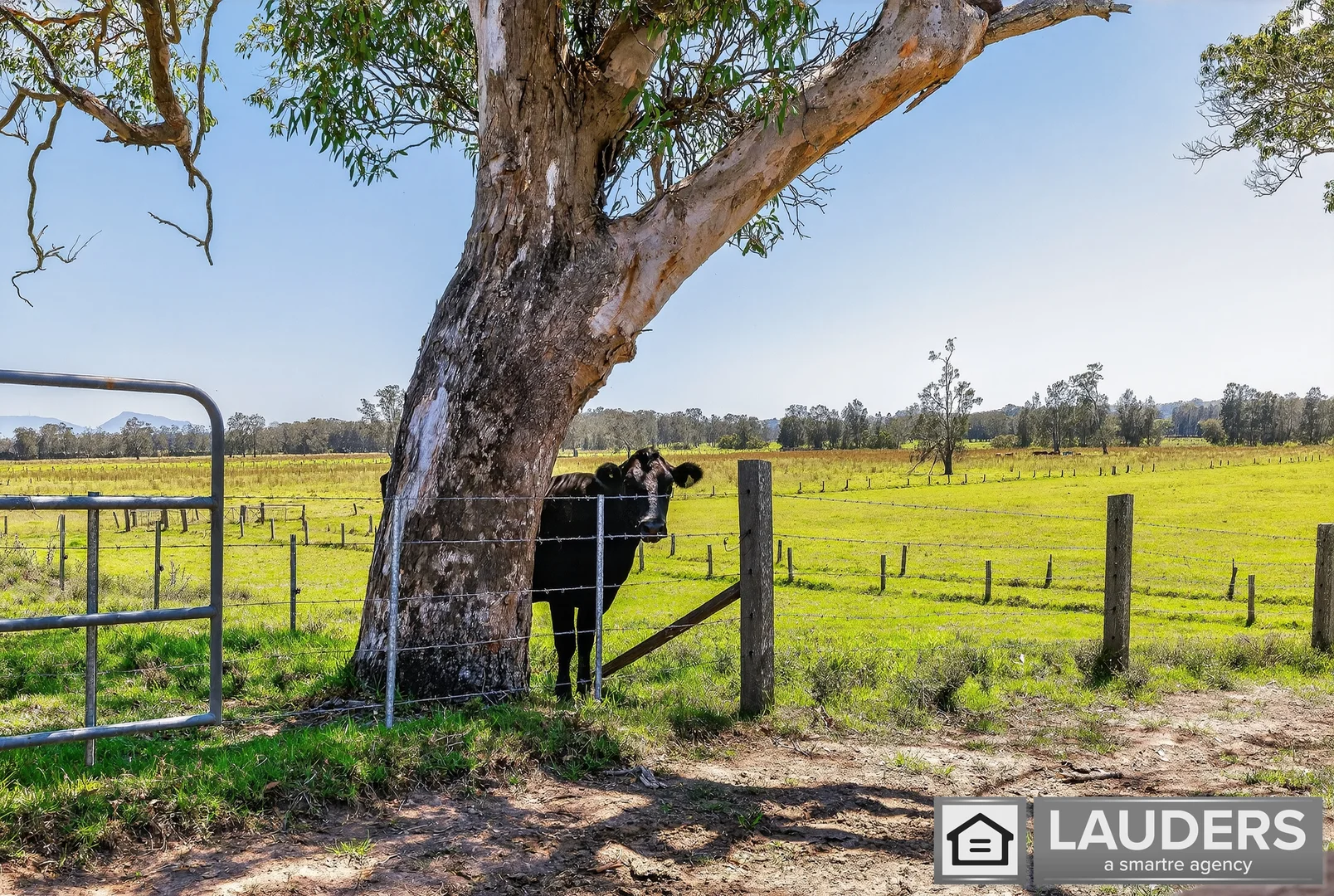 Additional image 36 of 157 Oxley Island Road, Oxley Island NSW 2430