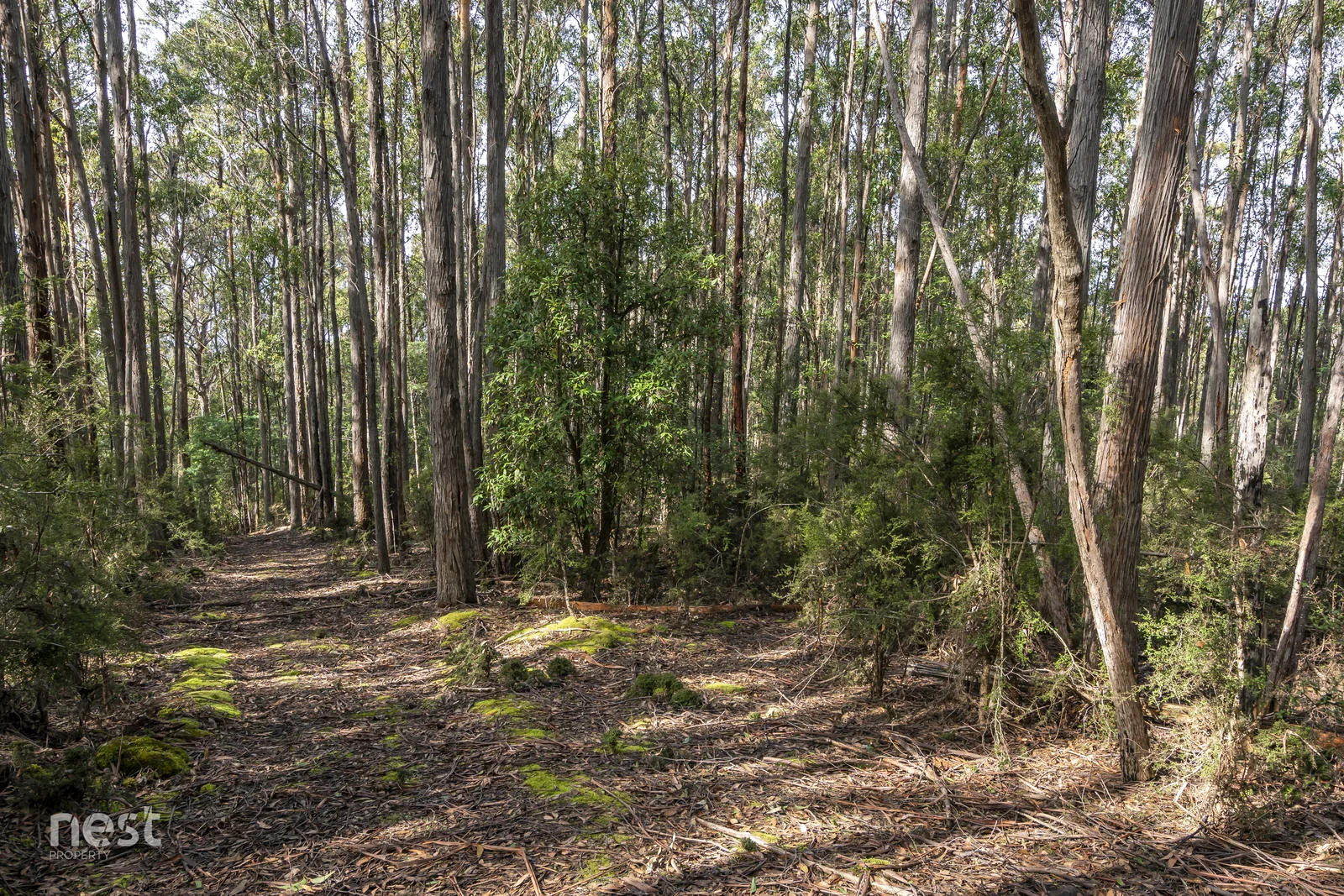 Additional image 8 of 405 Whittons Road, Kettering TAS 7155