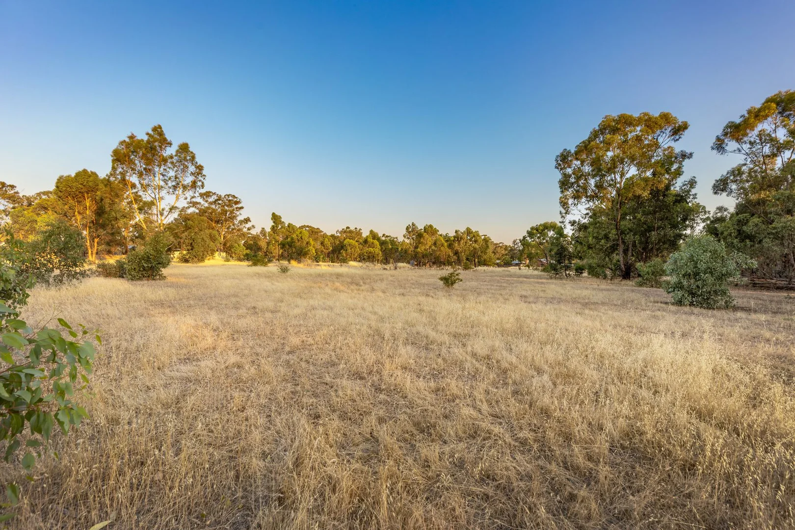 Additional image 30 of 51 Bracewell Street, Maiden Gully VIC 3551