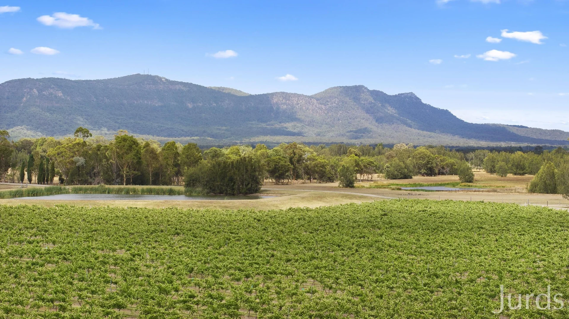 Additional image 30 of 223 Deasys Road, Pokolbin NSW 2320