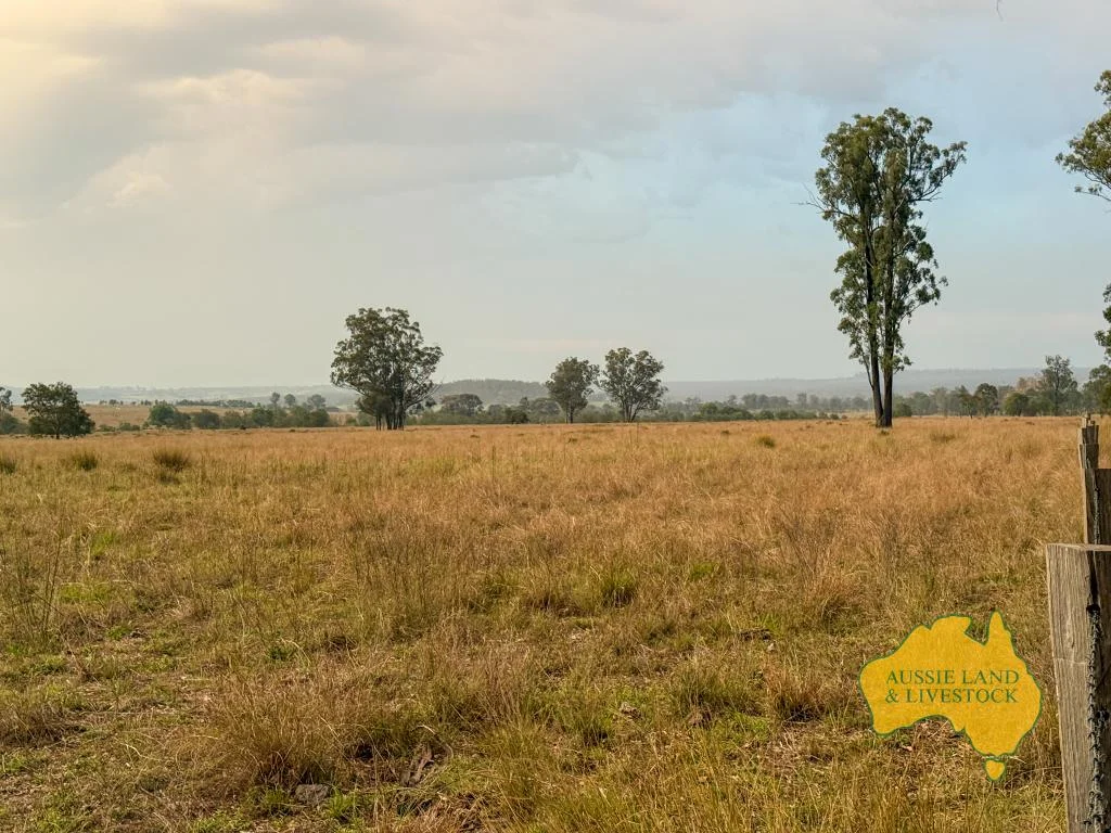 Additional image 7 of 373 Ormonde Road, Monogorilby QLD 4626