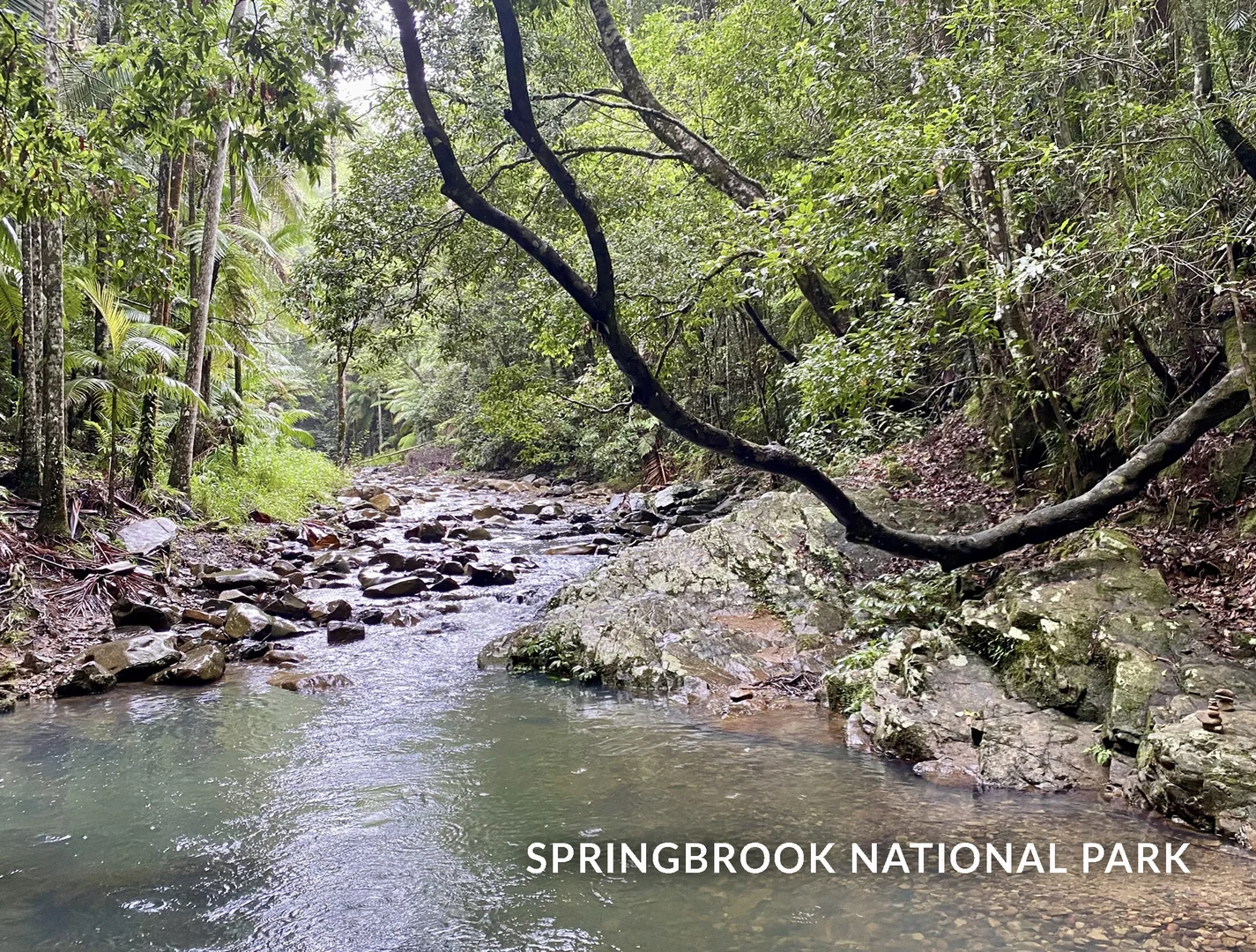 Additional image 34 of 1318 Currumbin Creek Road, Currumbin Valley QLD 4223