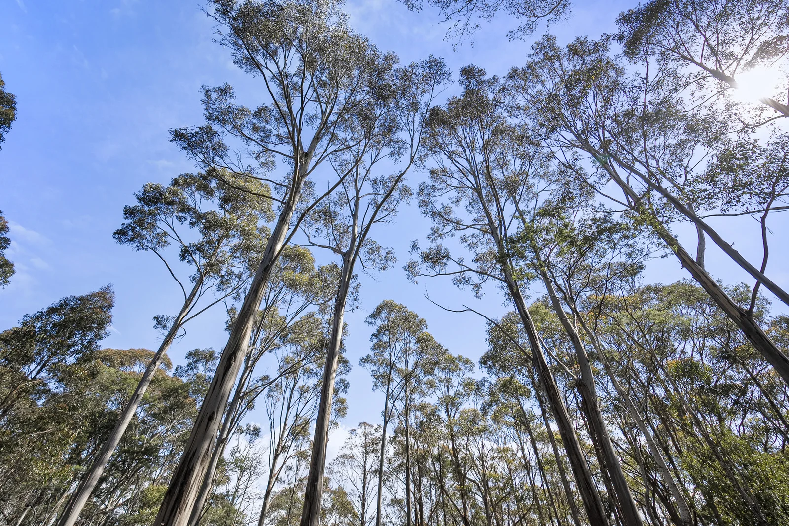 Additional image 9 of 1 Huon Highway, Glendevie TAS 7109