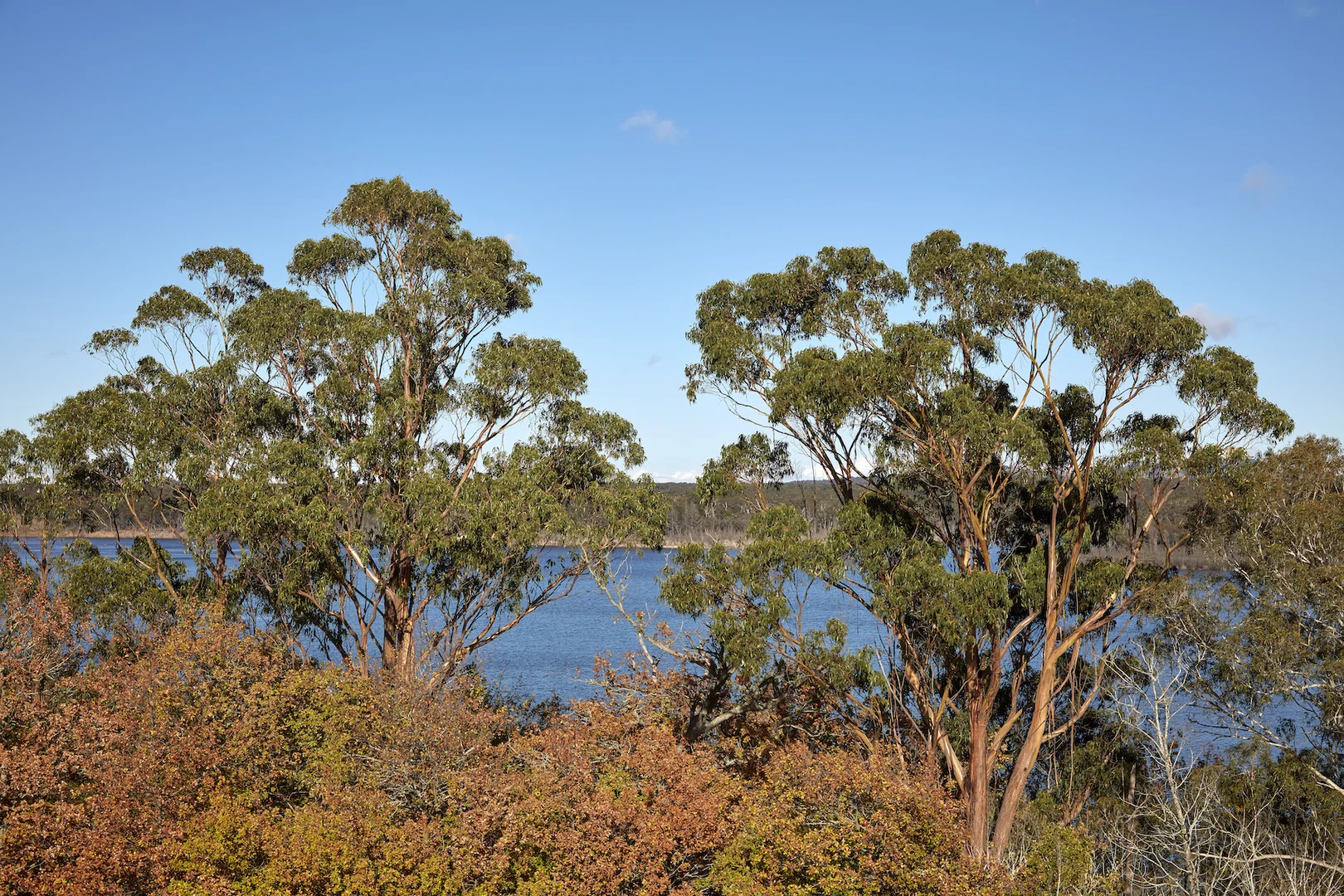 Additional image 10 of 171 Ross Watt Road, Gisborne VIC 3437